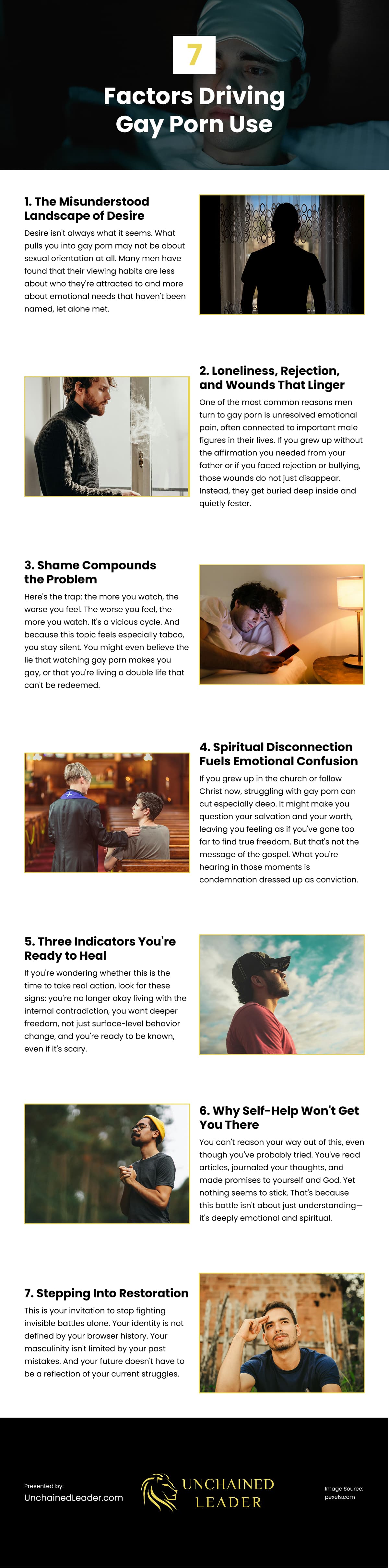 7 Factors Driving Gay Porn Use Infographic